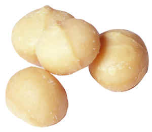 Macadamia noten